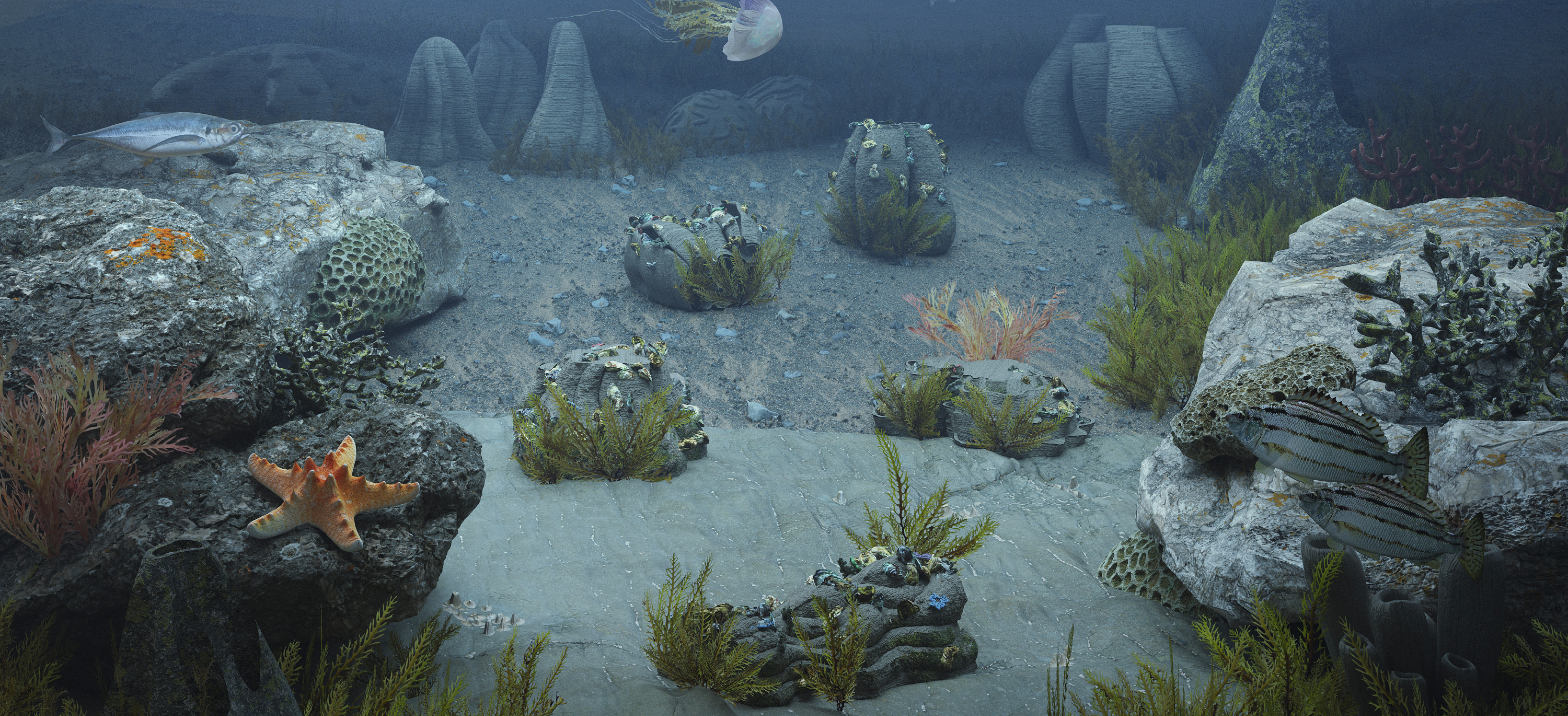 coral product rendering